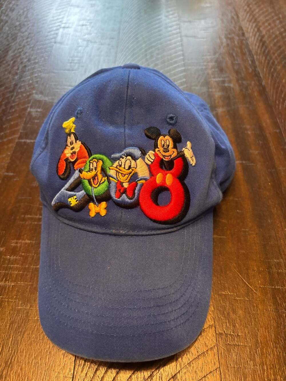 Walt Disney World 2008 Baseball Hat Youth Blue Embroidered Characters